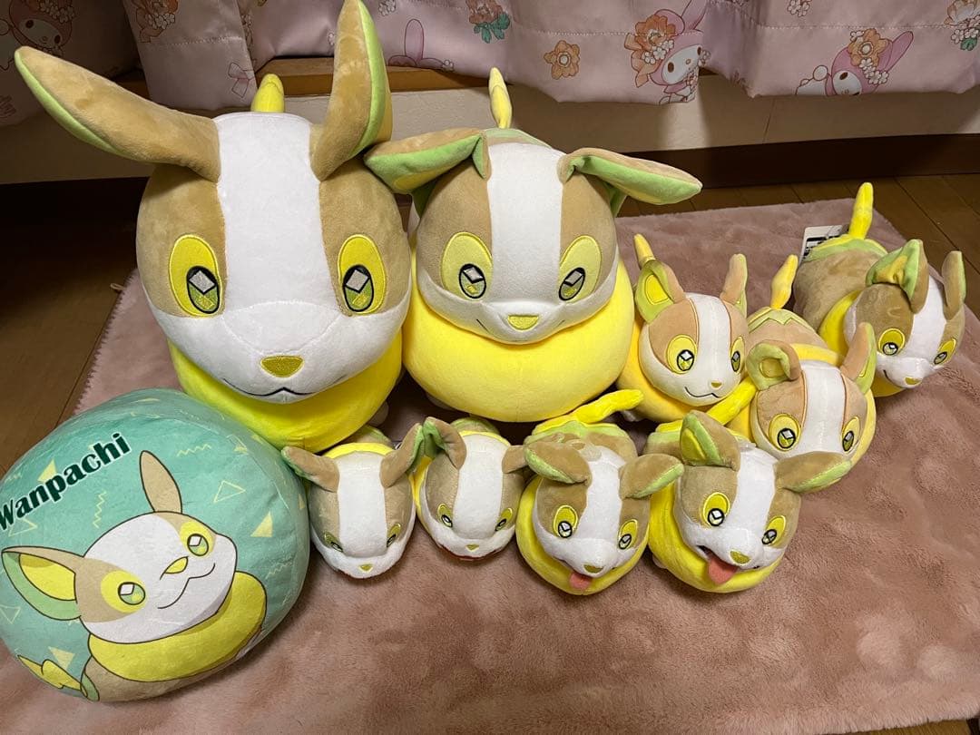 ポケモン　ワンパチ