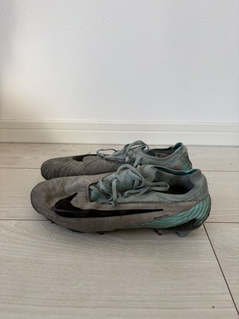 Nike ファントムGX / FG