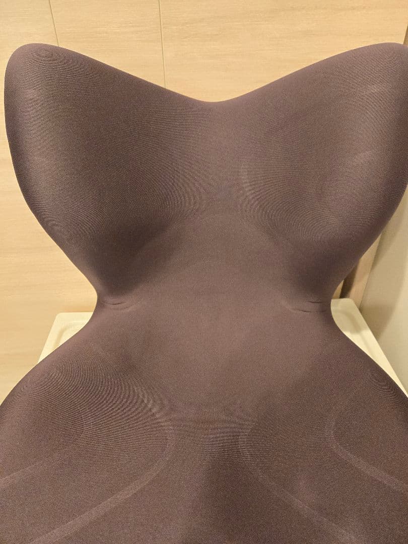 座椅子 MTG Style PREMIUM