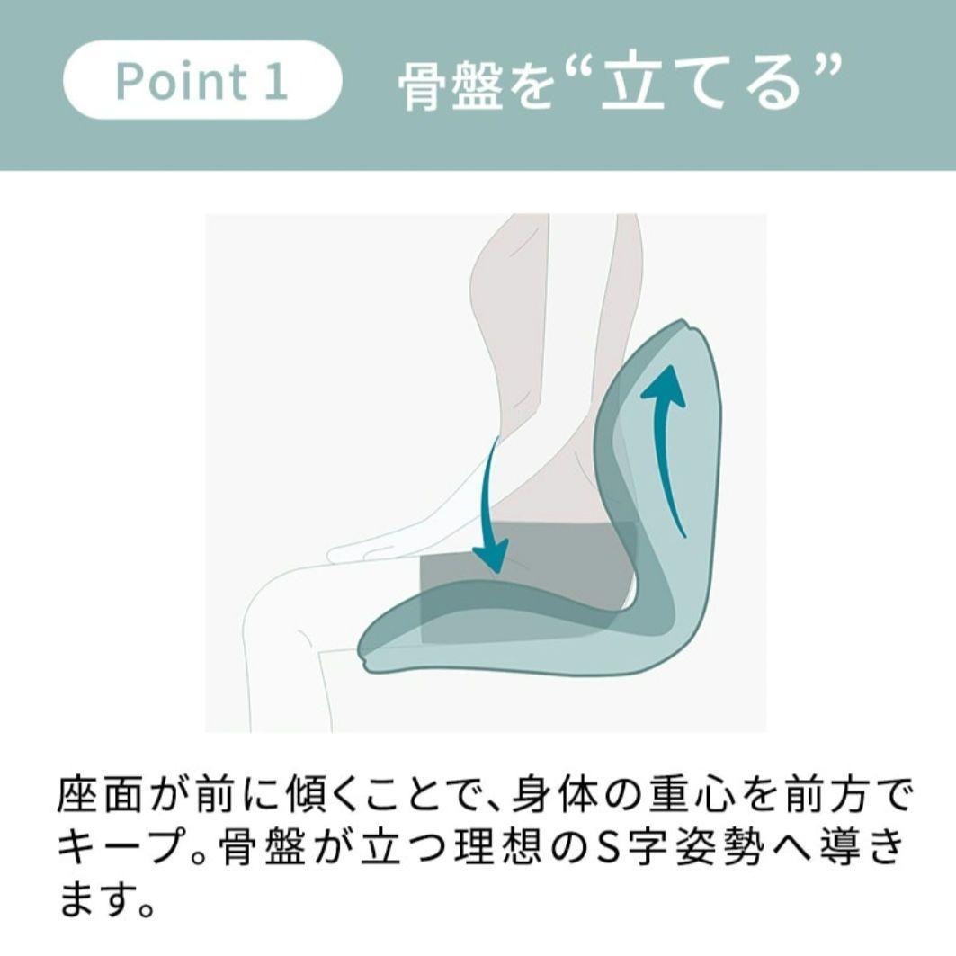 座椅子 MTG Style PREMIUM