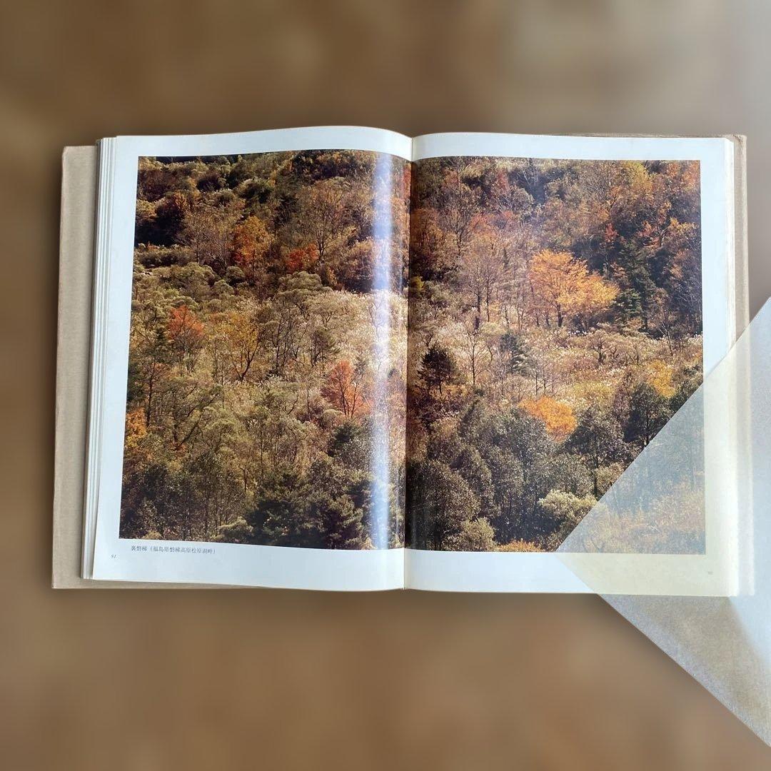 日本の山河 森川洋 風景写真集