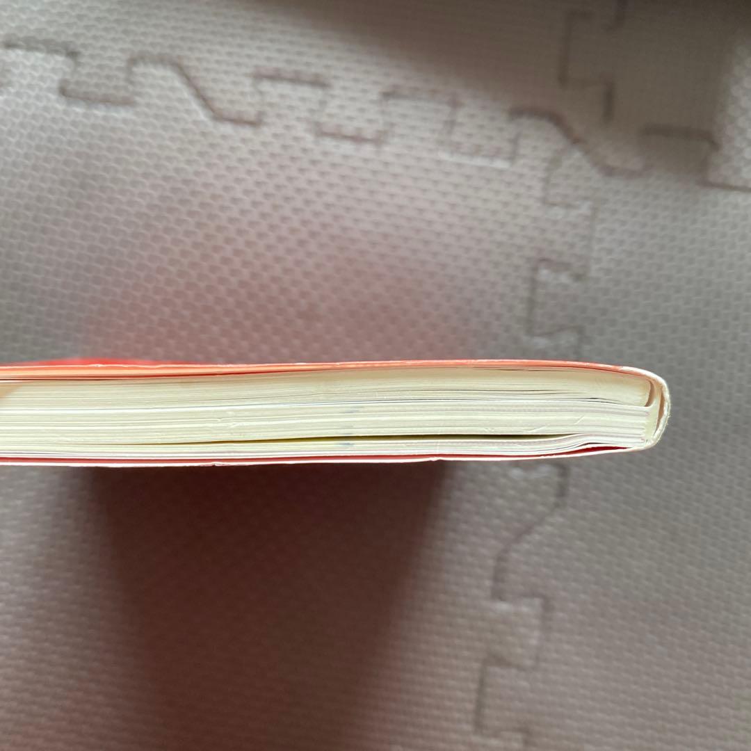 【東大現代文にオススメ】ライジング現代文 最高レベルの学力養成　内野博之駿台講師