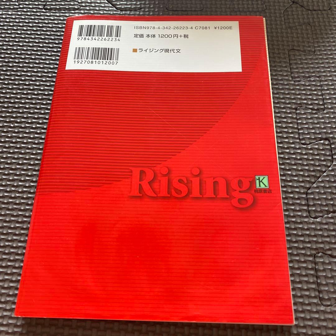 【東大現代文にオススメ】ライジング現代文 最高レベルの学力養成　内野博之駿台講師