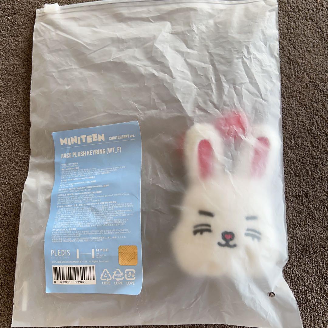ミニティーン　チェチェリー　エスクプス　プラッシュキーリング　SEVENTEEN
