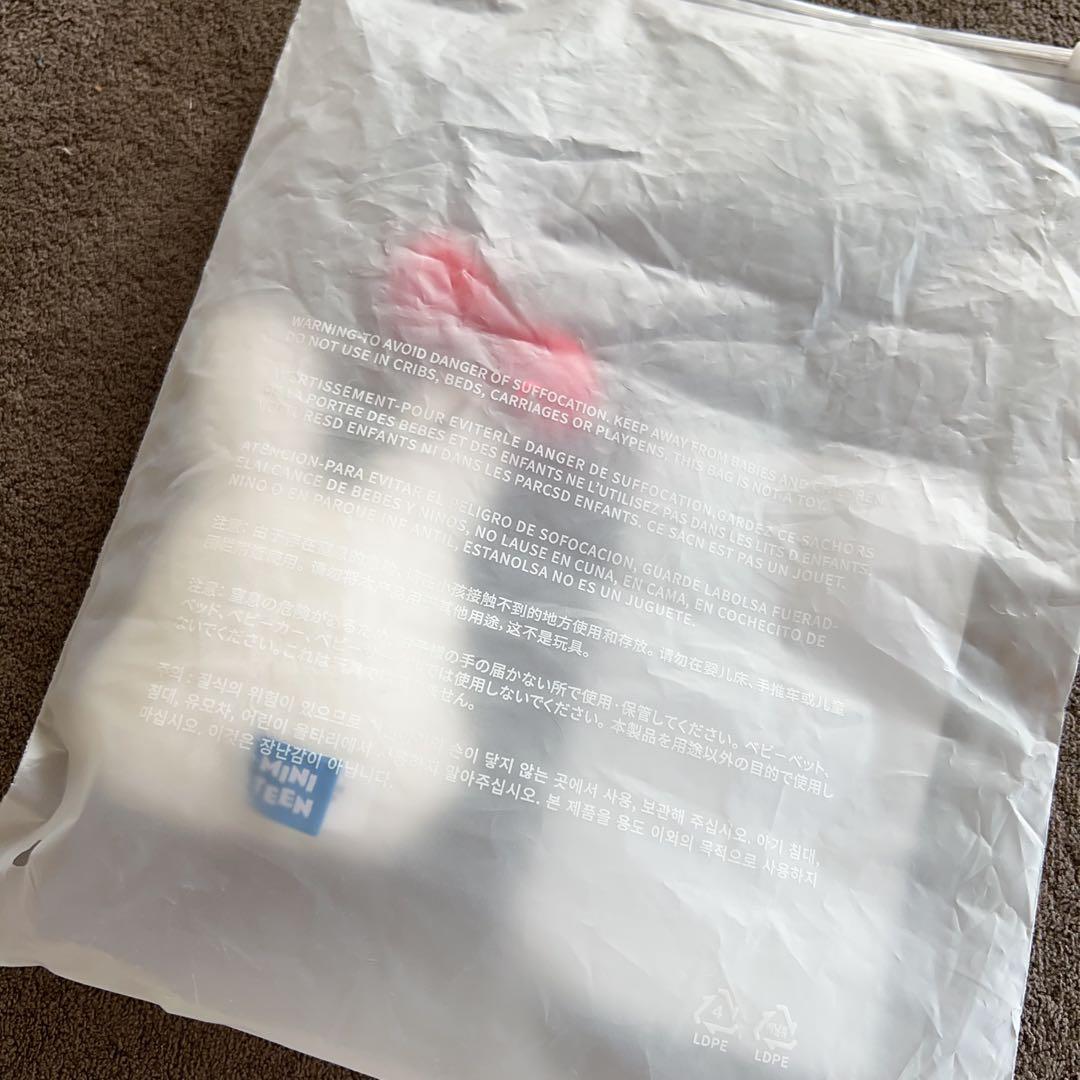 ミニティーン　チェチェリー　エスクプス　プラッシュキーリング　SEVENTEEN