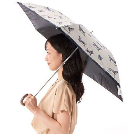 新作 Aquascutum アンティーク犬図鑑 晴雨兼用傘 折りたたみ傘 UV