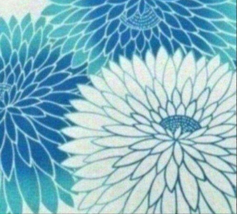 画像の帯つき◆◆【雑誌掲載】上品高貴な丸菊づくし涼し流水色浴衣◆新品