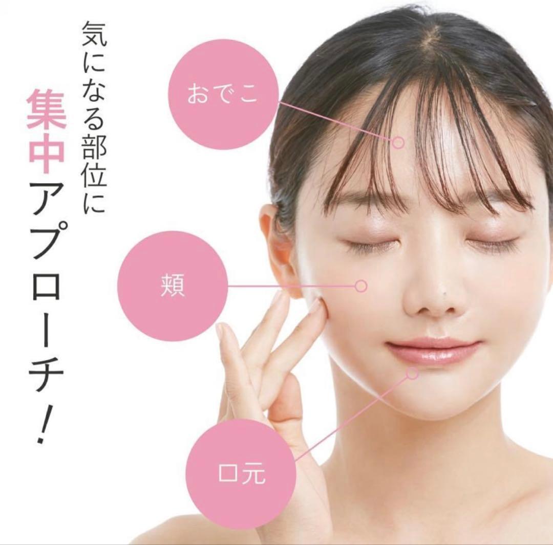 定価2.7万 極美品 サロニア SAL22206SL EMSリフトブラシ 美顔器