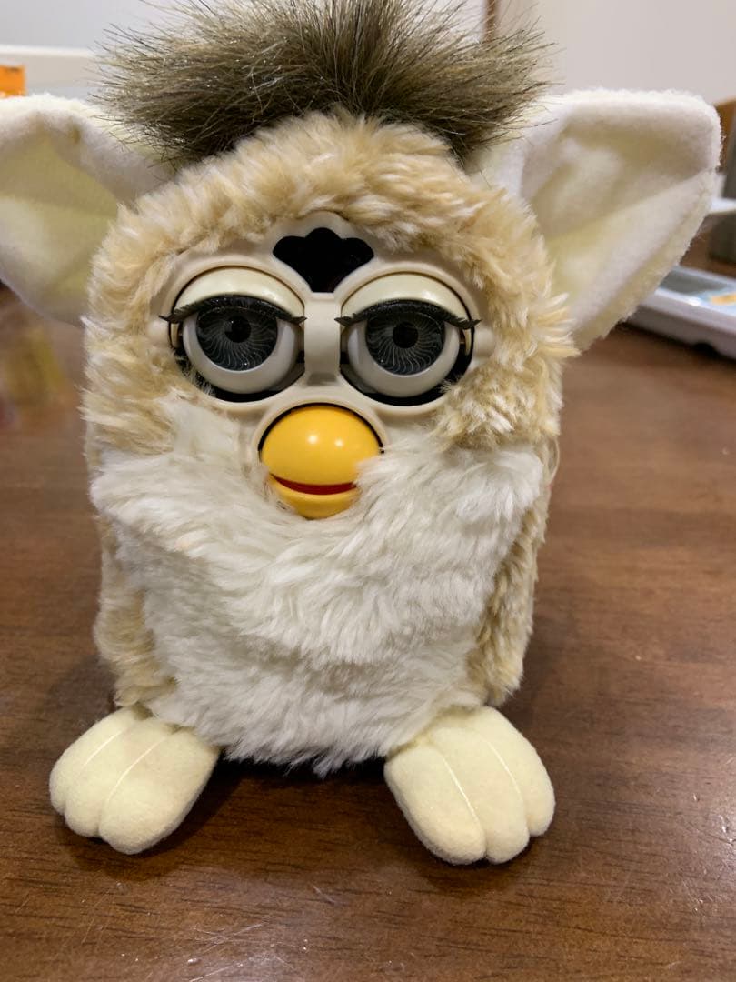 TO M Y ファービー