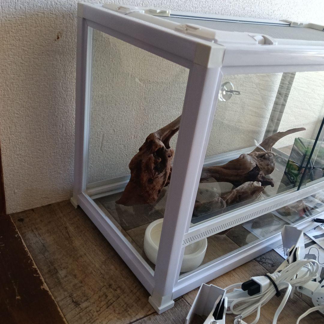 爬虫類ゲージセット売り　【バラ売り不可】【引取可】