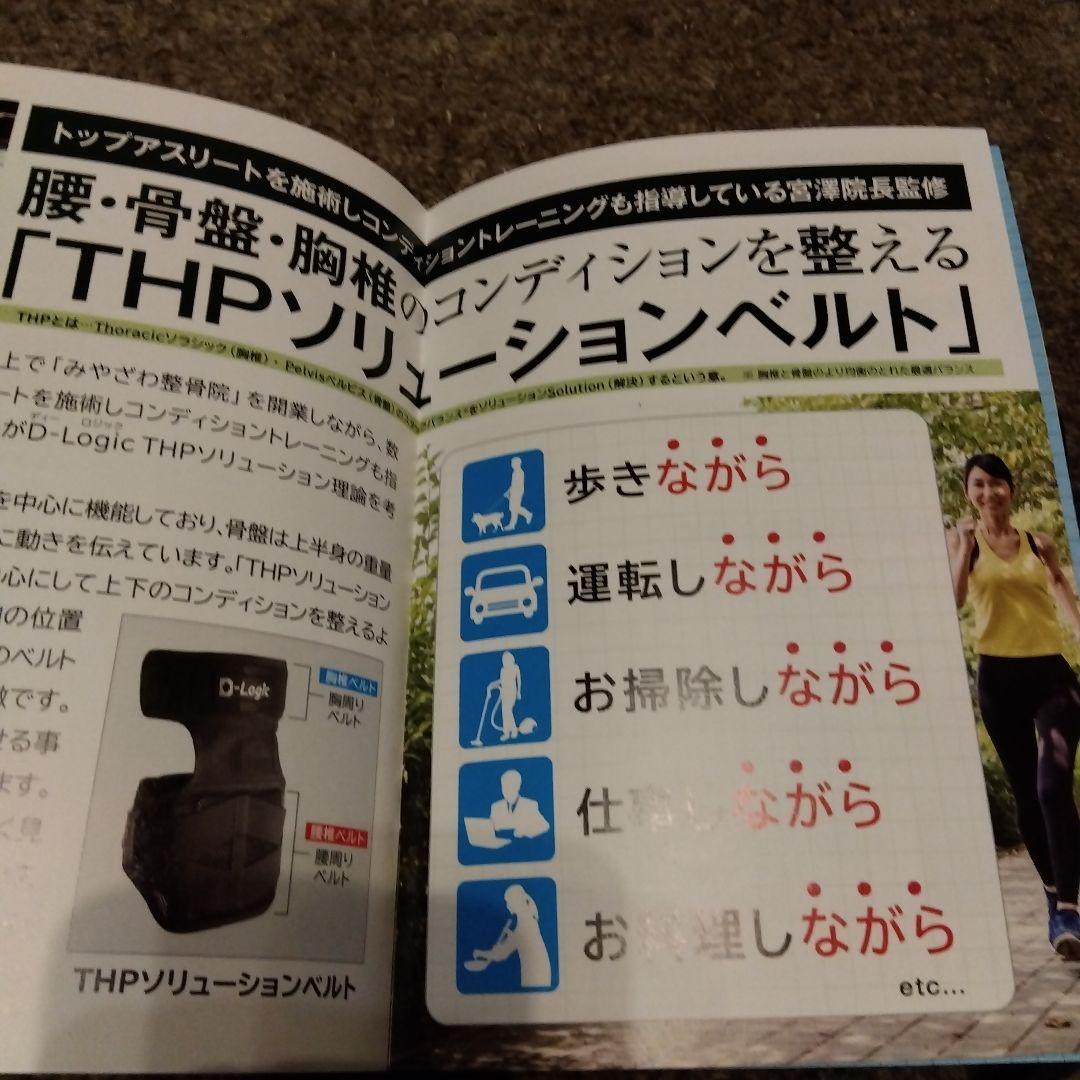 D-Logic THPソリューションベルト 2582-L