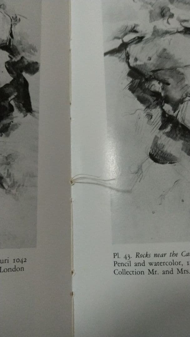 セザンヌ Ce'zanne The Late Work 洋書 画集