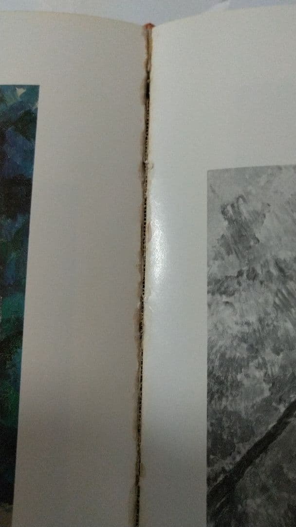 セザンヌ Ce'zanne The Late Work 洋書 画集