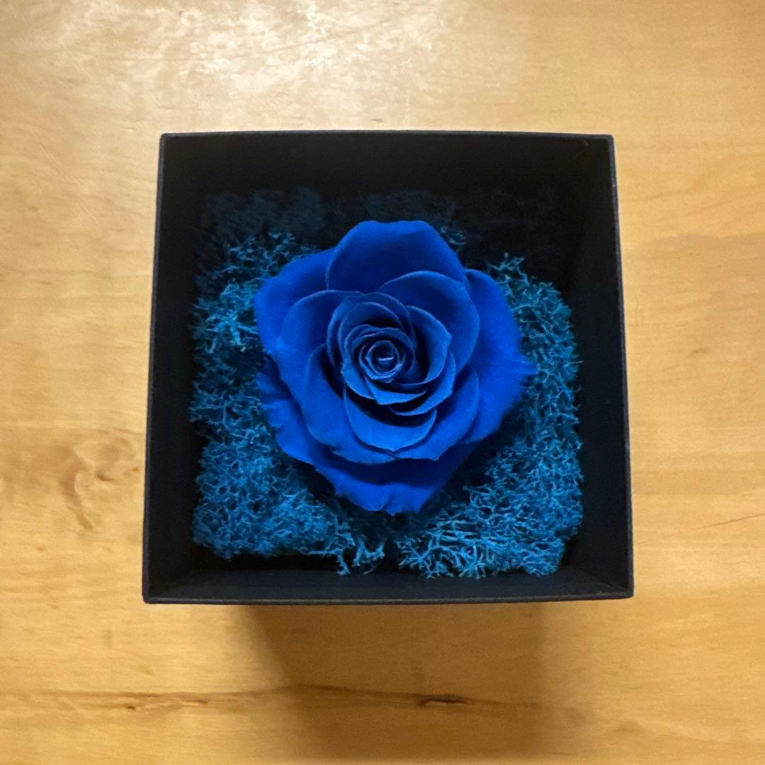 Ado SPECIAL LIVE「心臓」VIP席特典 ＋マーズVIP特典ブローチ