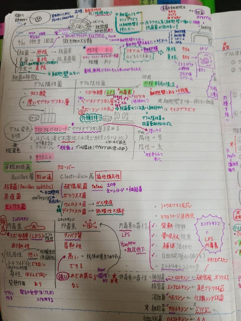 歯科国家試験 対策 まとめノート
