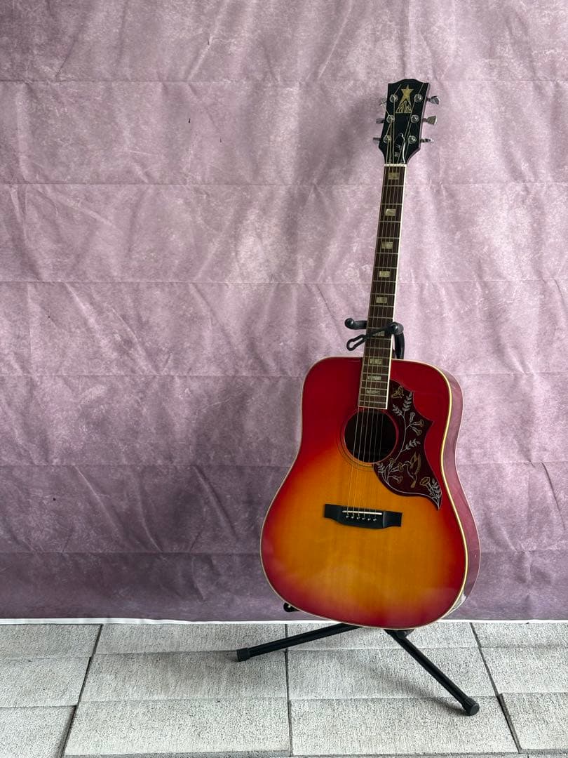 ギター CANDA 202 '70s Hummingbird Model