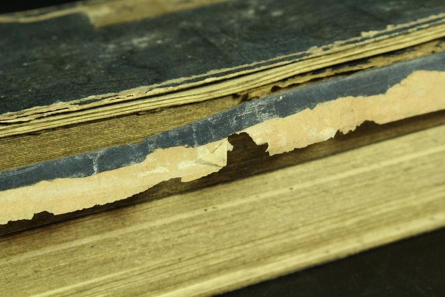 仏教美術 妙法蓮華経 時代物 古書 経文(K-A754)