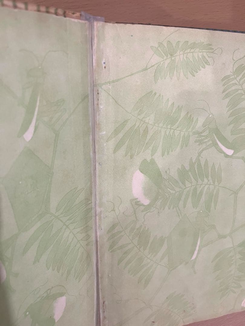 No.303 超希少 レア 古書 アンティーク 洋書 児童書 ドイツ 絵本 妖精