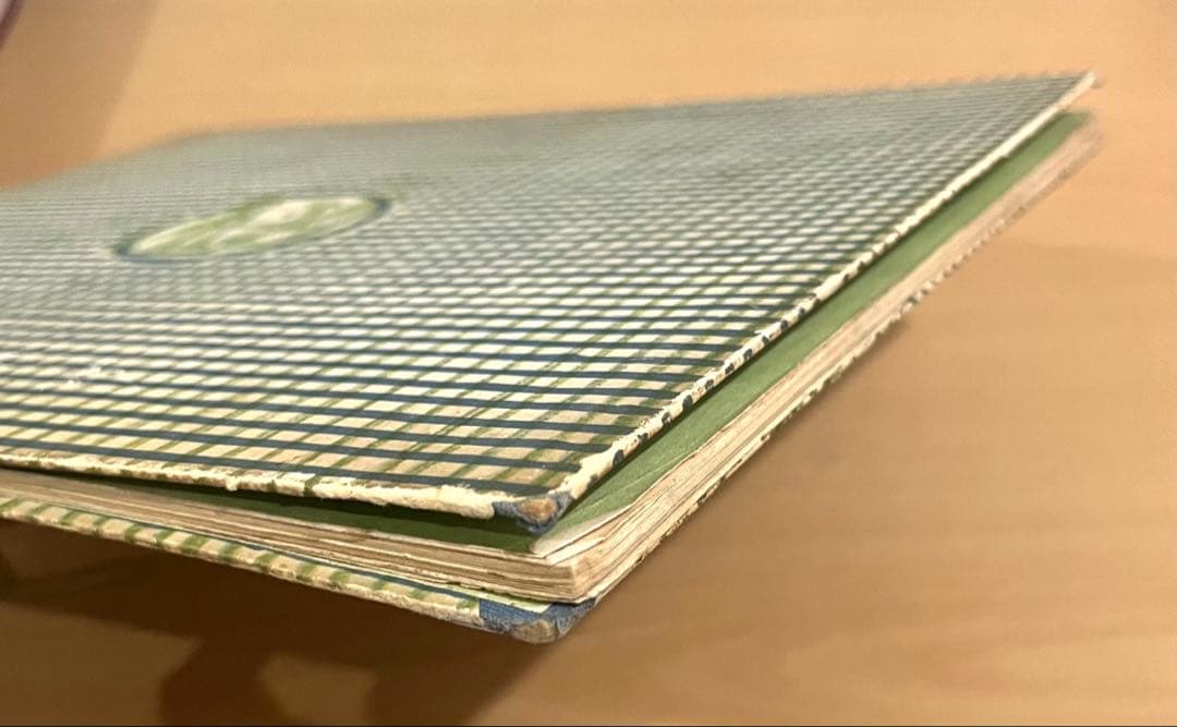 No.303 超希少 レア 古書 アンティーク 洋書 児童書 ドイツ 絵本 妖精