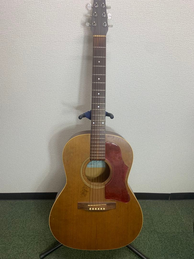 シーガル　S6＋FORK　プレイヤーズコンディション　B-25スタイル