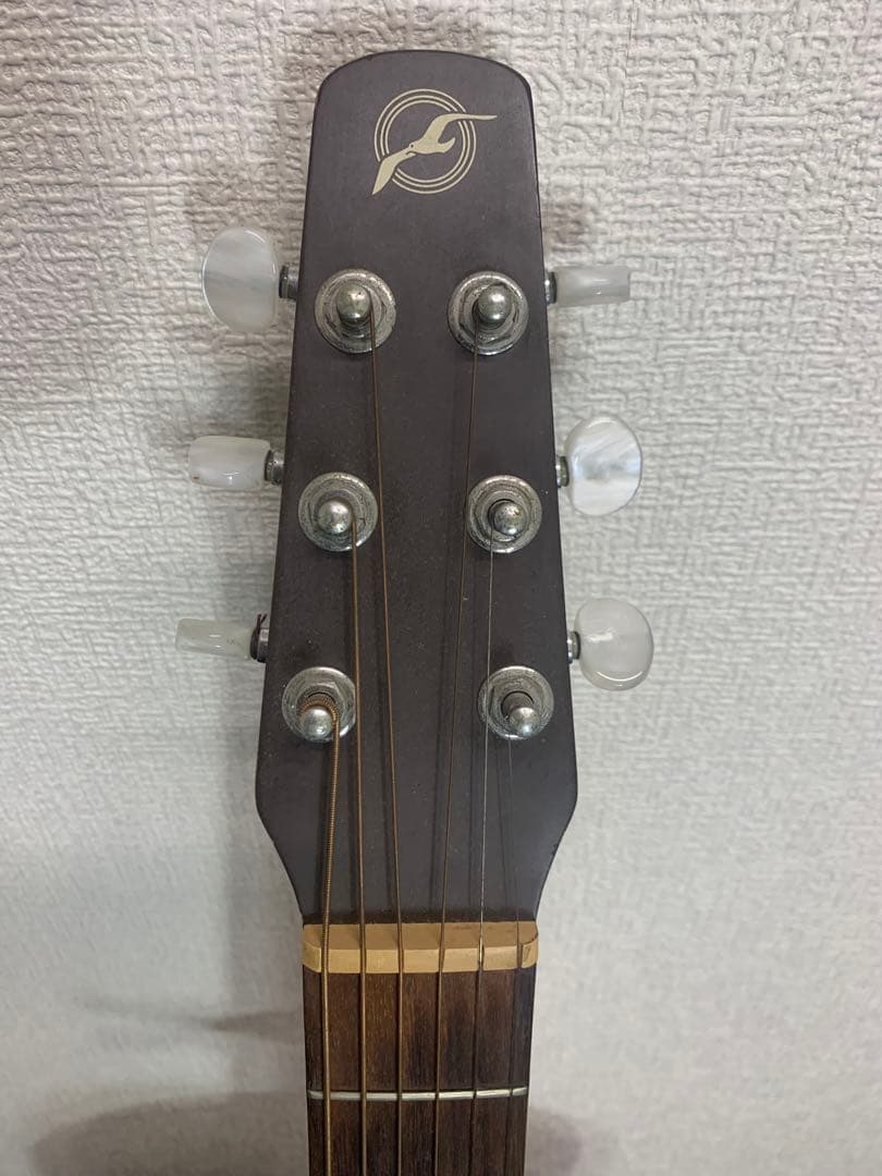 シーガル　S6＋FORK　プレイヤーズコンディション　B-25スタイル