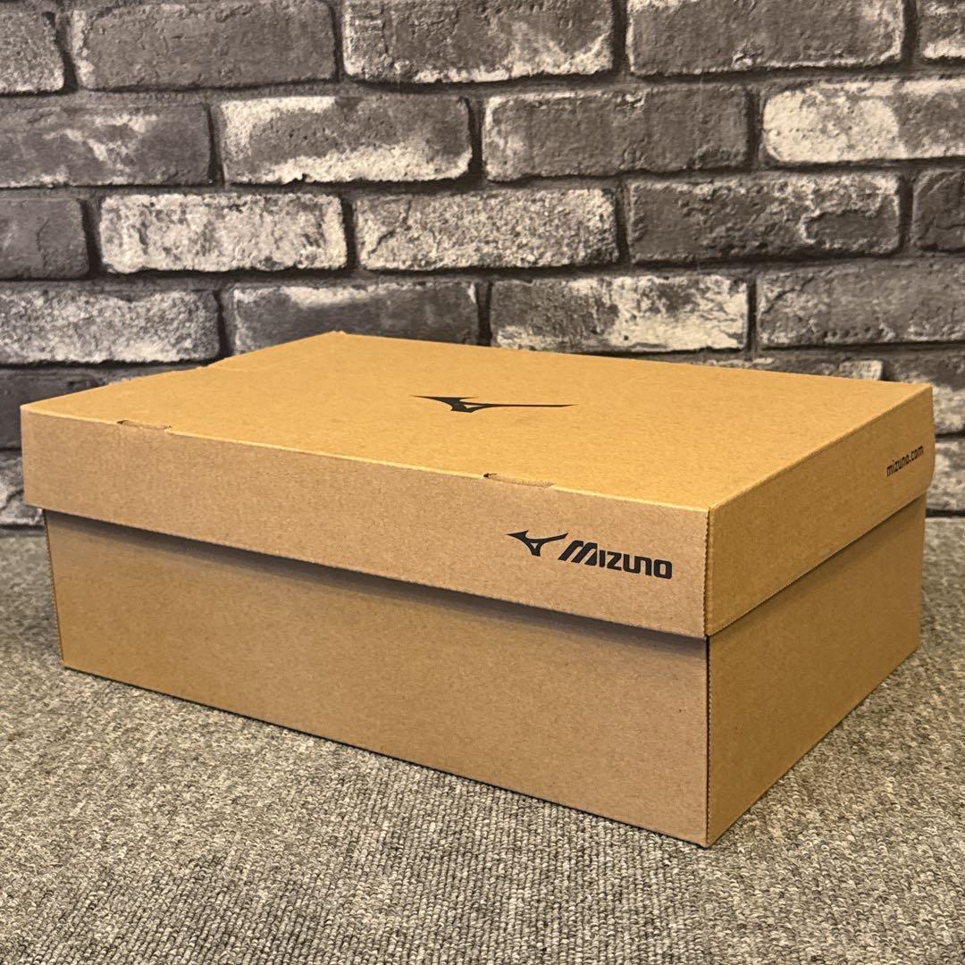 ミズノ オールマイティ 安全靴 29