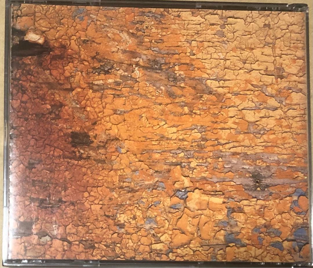 坂本龍一 Playing the Orchestra 非売品 2CD