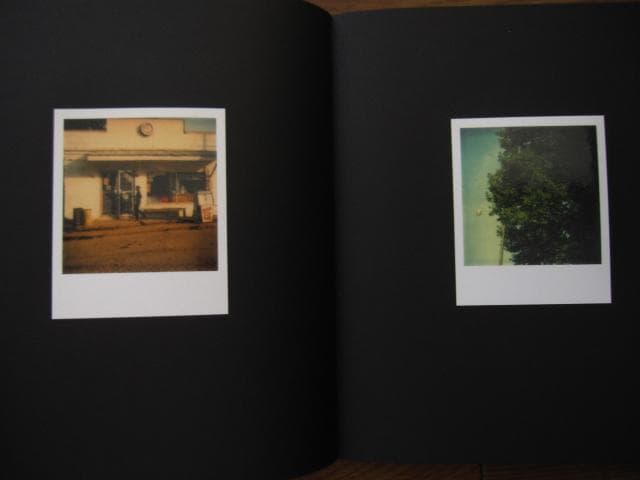 アート・デザイン・音楽 William Eggleston Polaroid SX-70