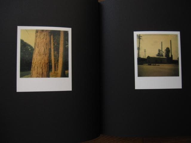 アート・デザイン・音楽 William Eggleston Polaroid SX-70