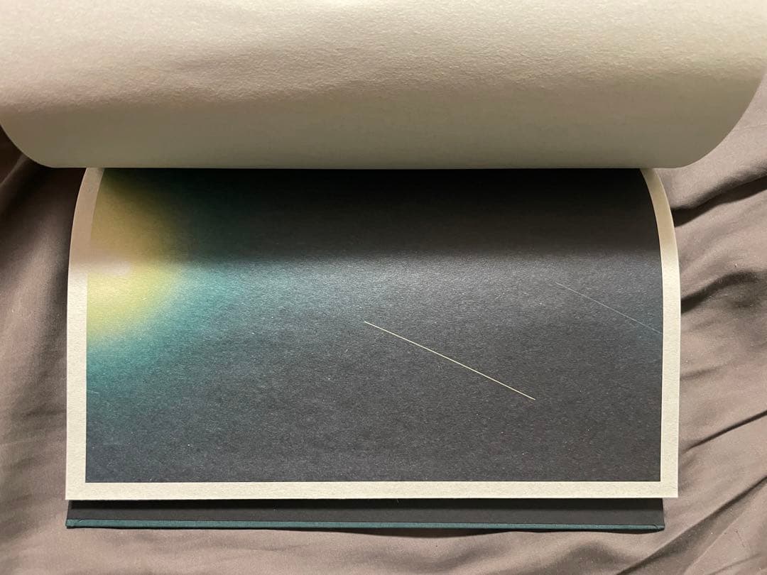 超希少!! mame kurogouchi 小浪次郎