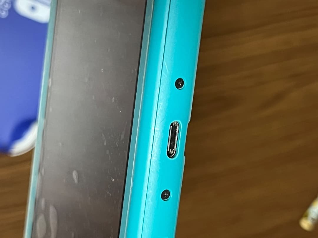 ニンテンドースイッチライトジャンク品(2種)