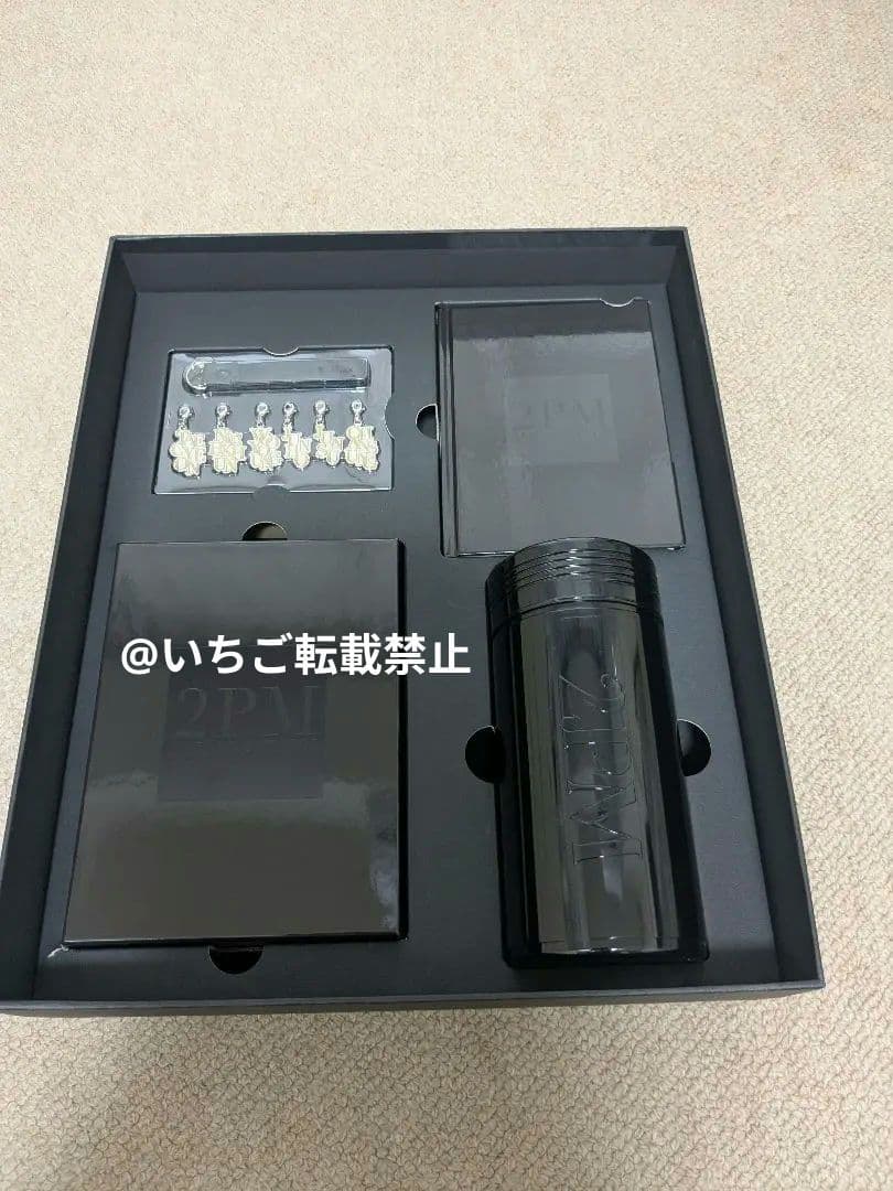 ALL ABOUT 2PM　DVD付完全生産限定盤　チャーム　Тシャツ　ファンミ