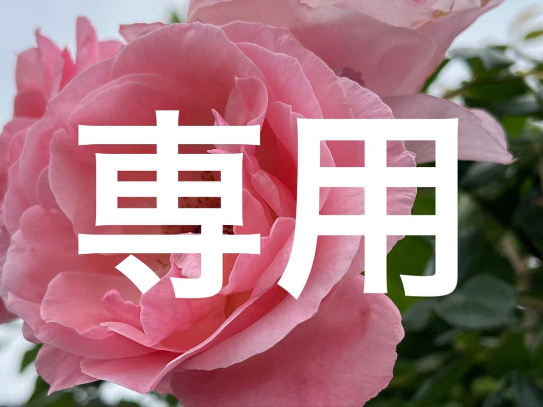 リアボーテ　2025コフレ　グランスキン