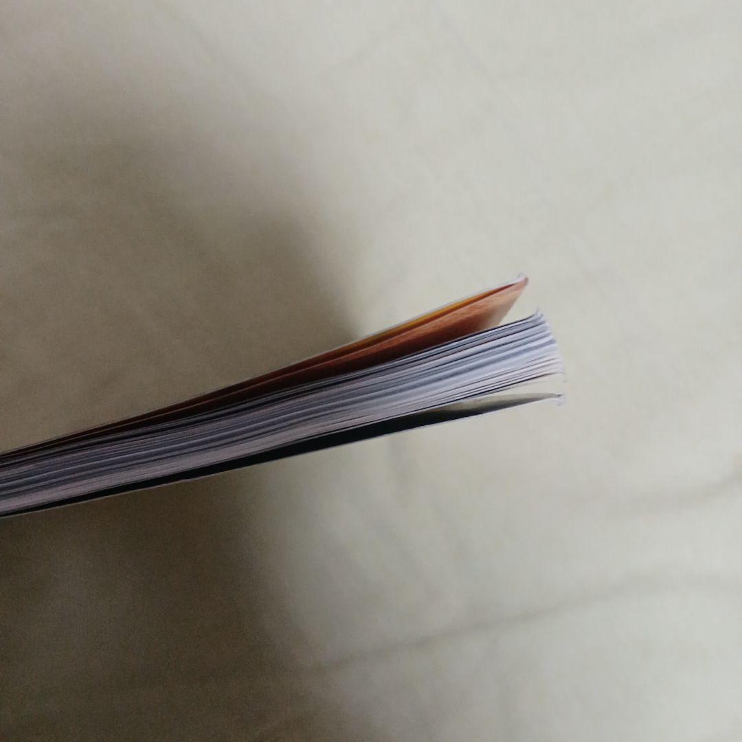 レッドウィング ブーツガイド※値段交渉有り!!