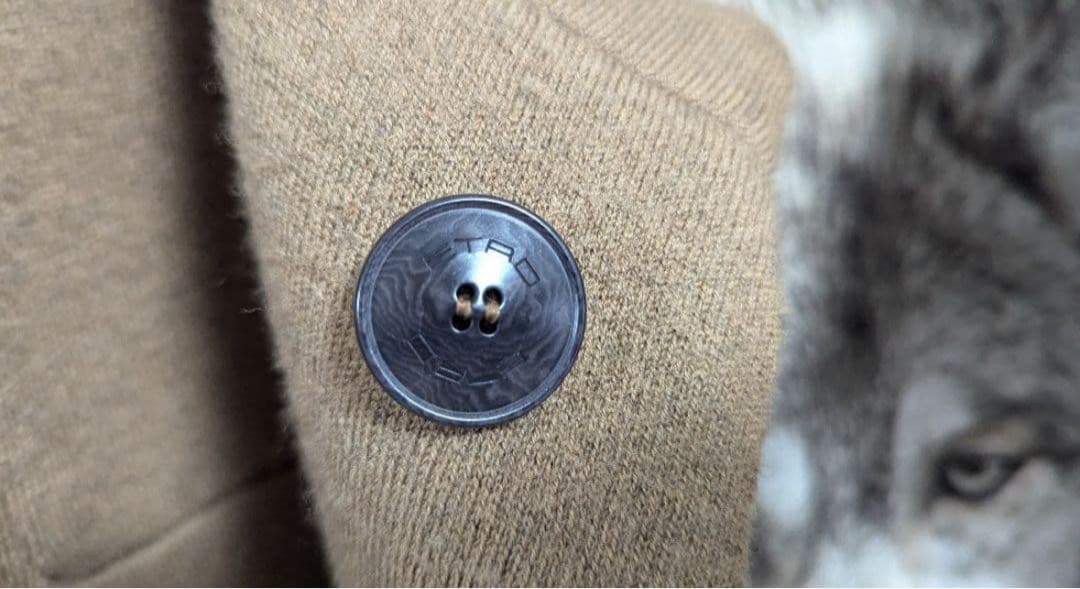 【ETRO ウルフ柄チェスターコート】メンズ　エトロ 48