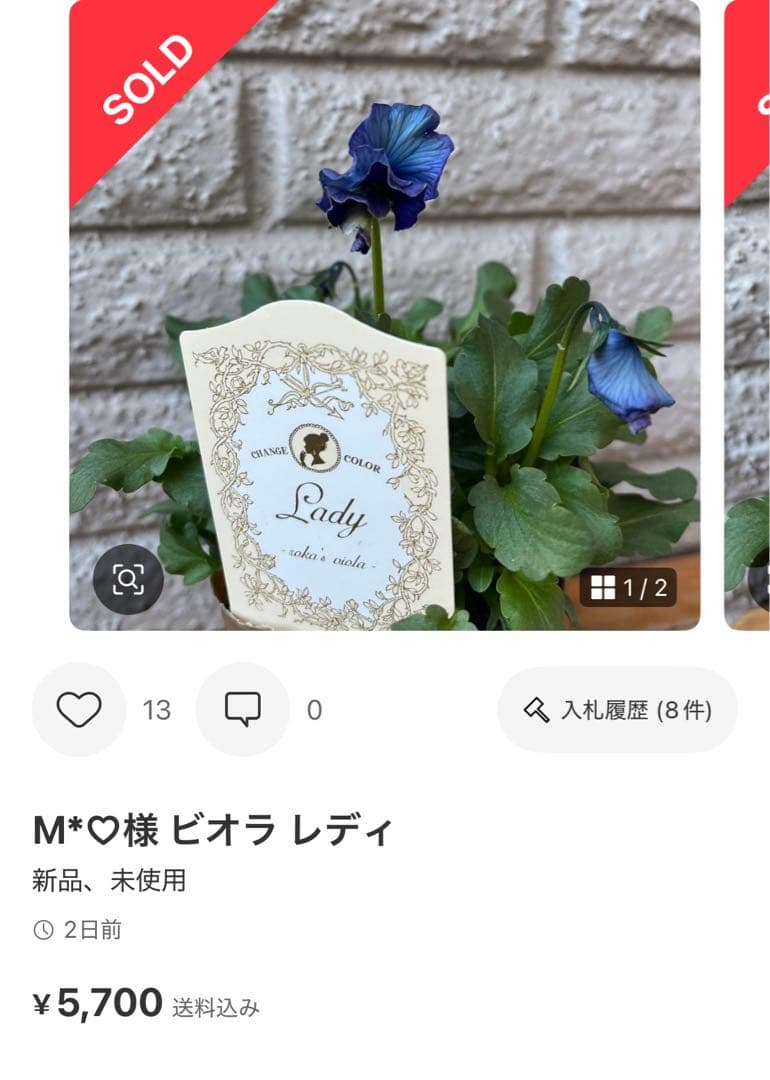 MIYABI メルカリ便 6苗