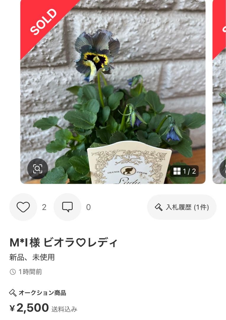 MIYABI メルカリ便 6苗