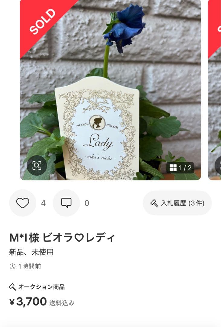 MIYABI メルカリ便 6苗