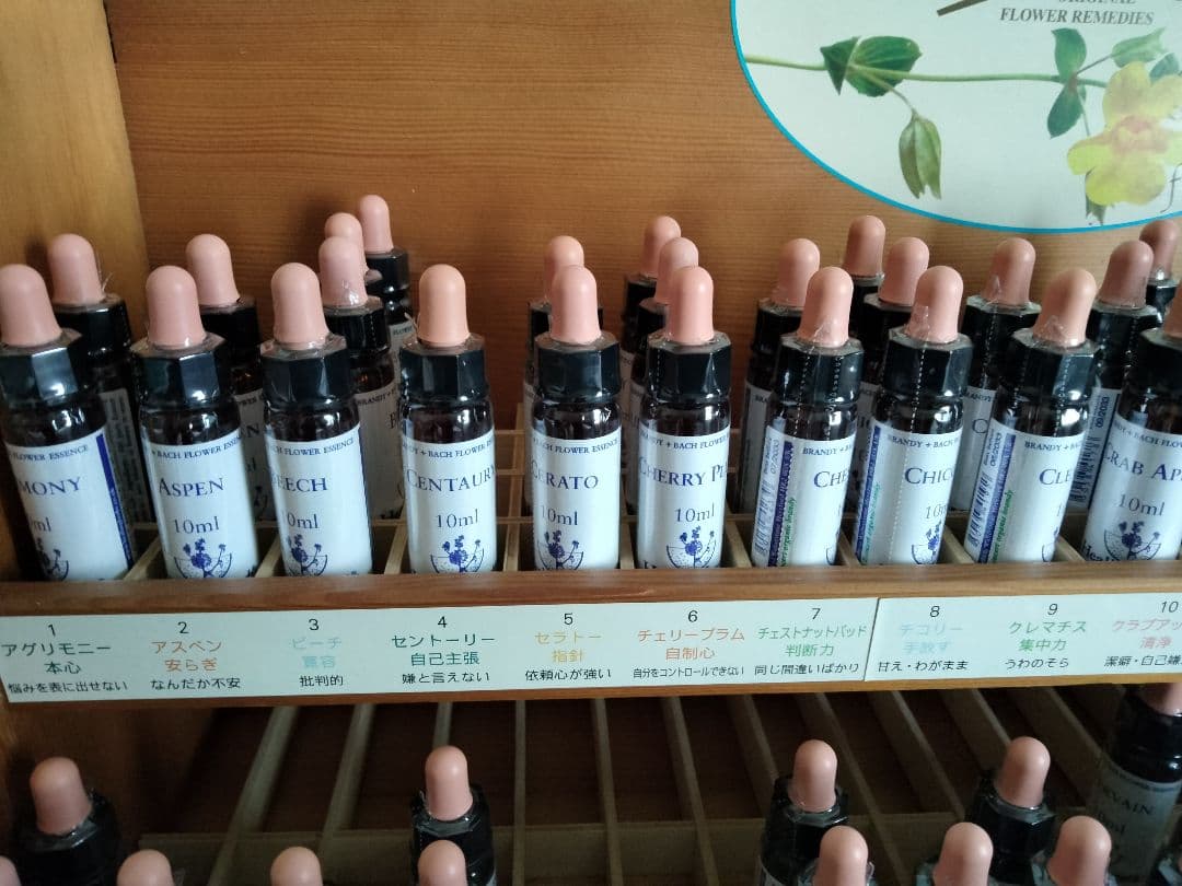 みゅーんページ■ヒーリングハーブス社フラワーエッセンス■計5本