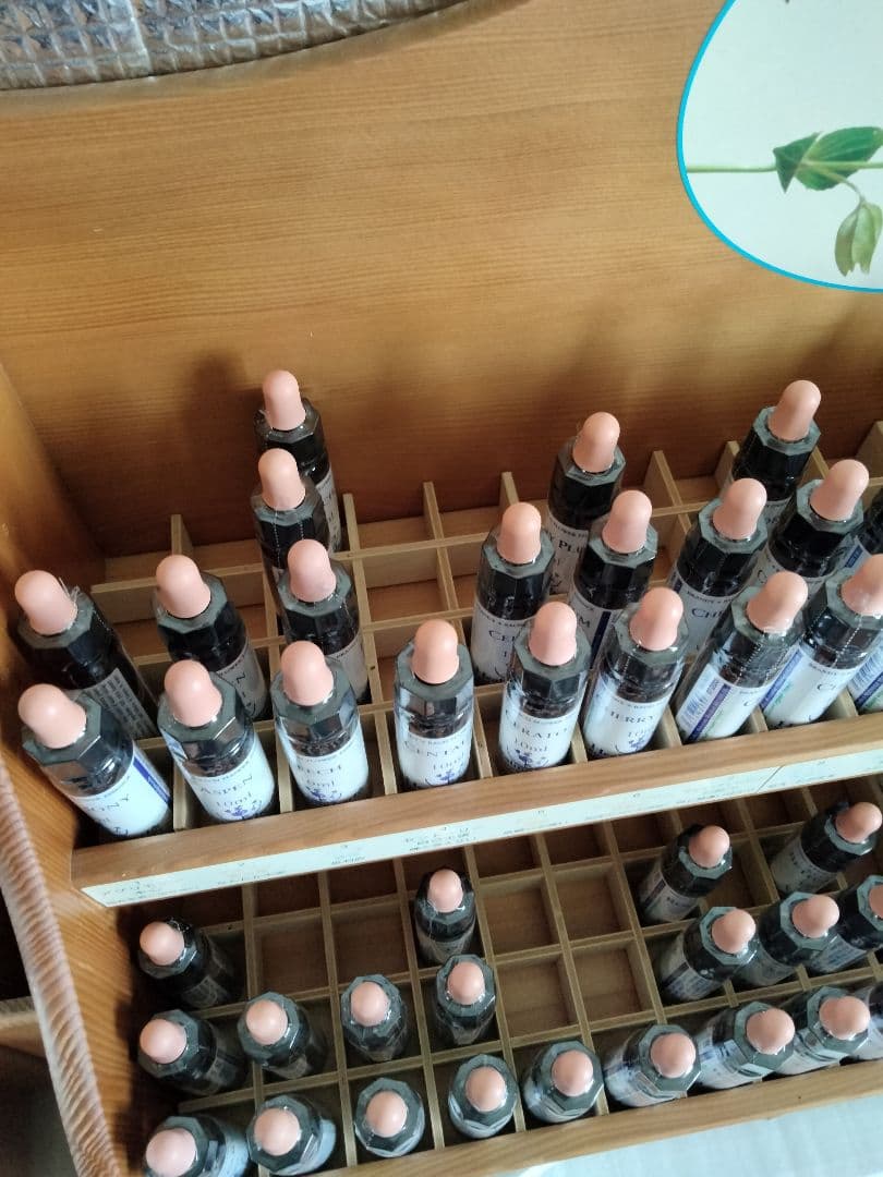 みゅーんページ■ヒーリングハーブス社フラワーエッセンス■計5本