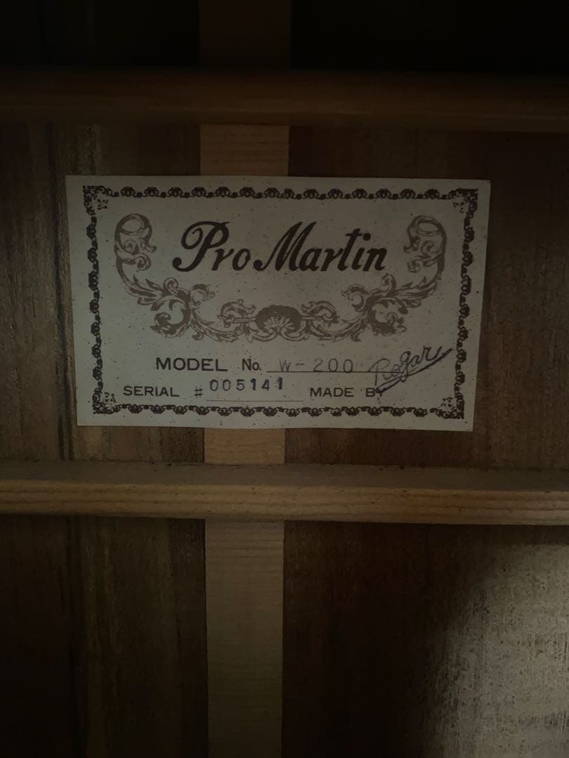 Martin Pro Martin w-200 アコースティックギター