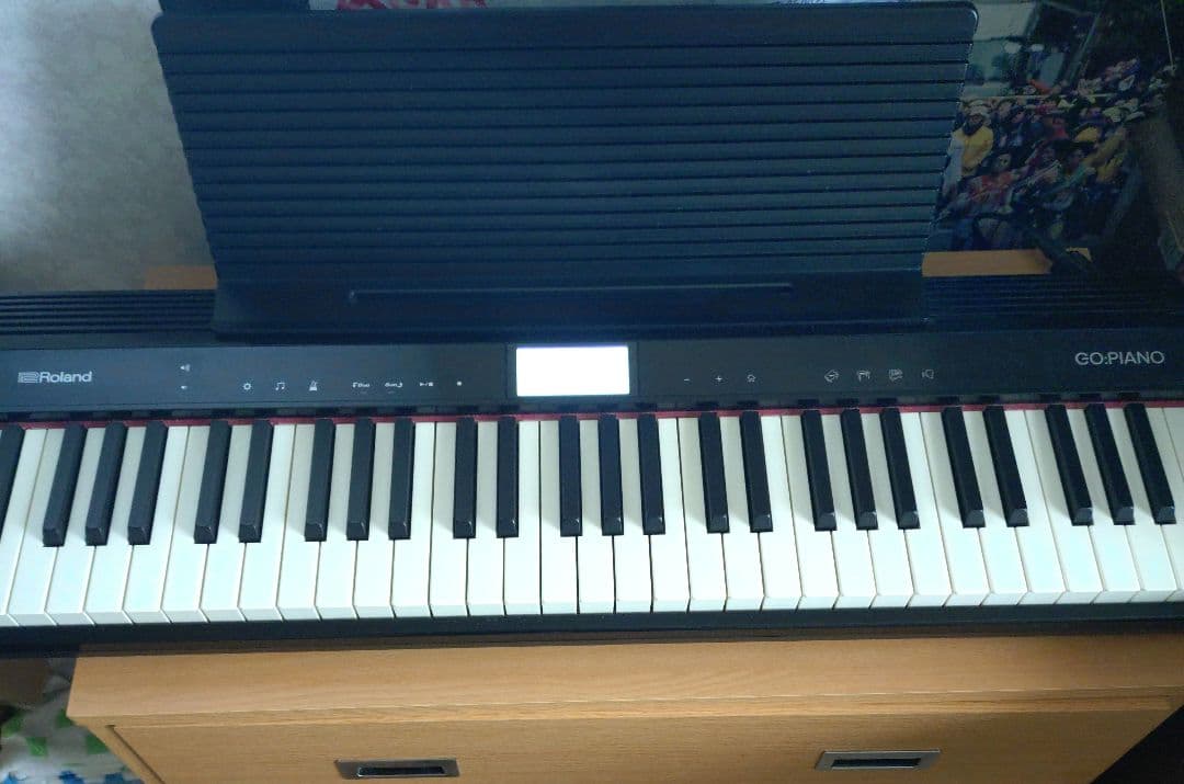 ROLAND　GO:PIANO　専用ケース付