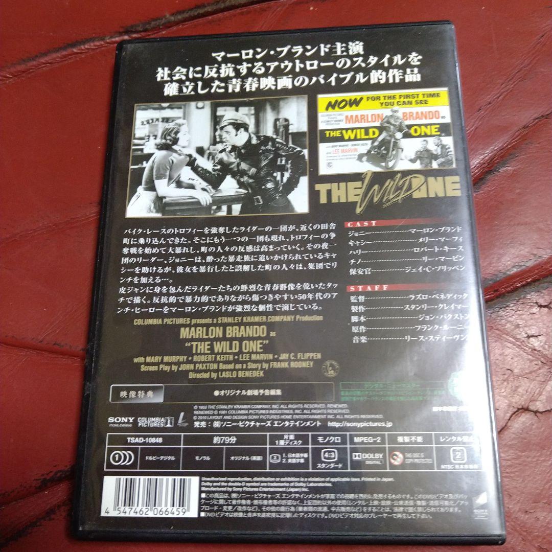 マーロン・ブランド 乱暴者 DVD THE WILD ONE