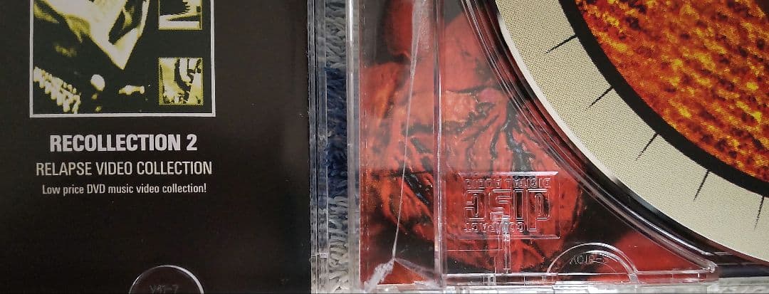 洋楽 Despised Icon / Split