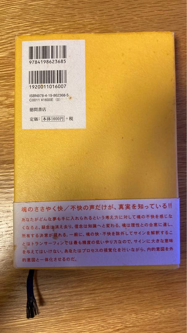 トランサーフィン 2 ヴァディム・ゼランド