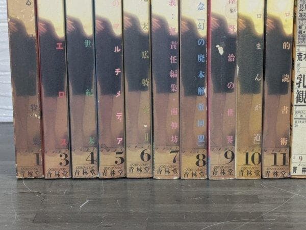 月刊漫画 ガロ 1995年～1996年 14冊セット 青林堂