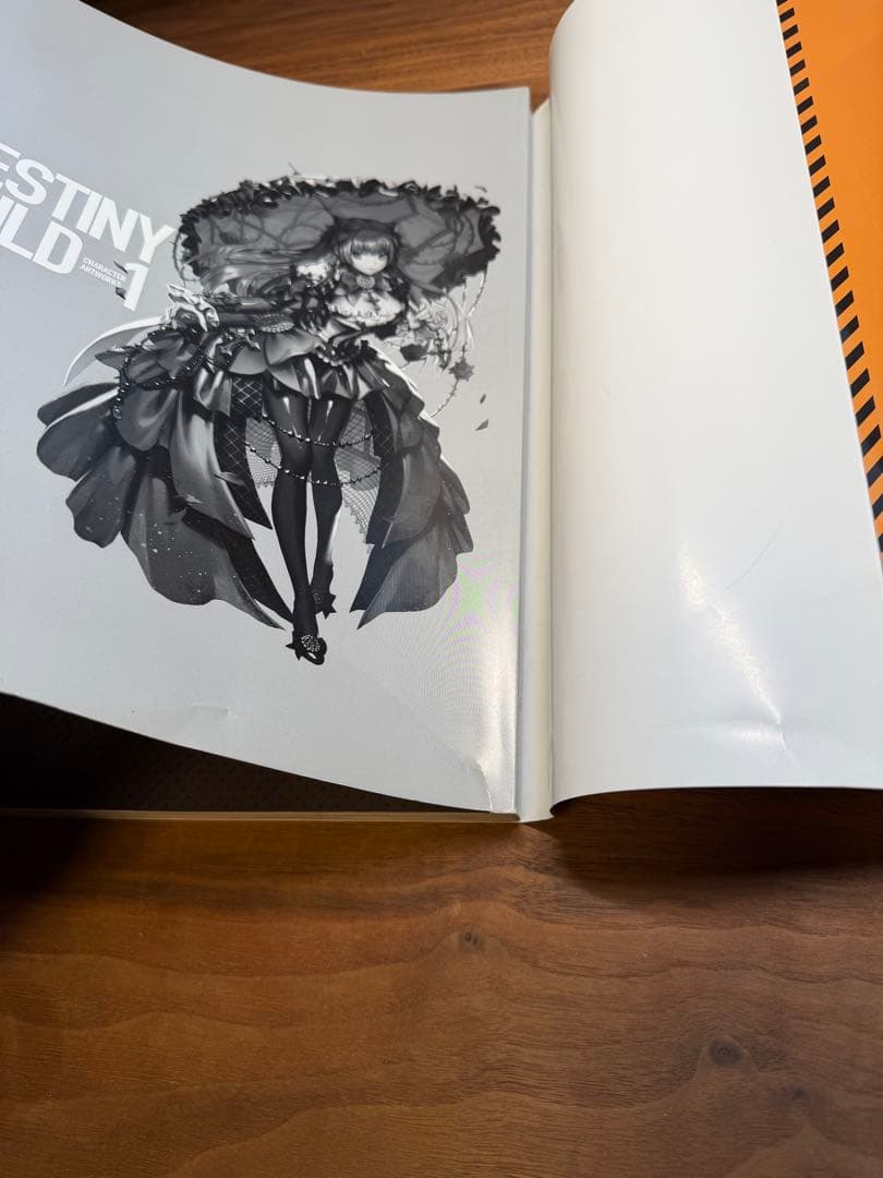 アート・デザイン・音楽 DESTINYCHILD CHARACTER ARTWORKS 1