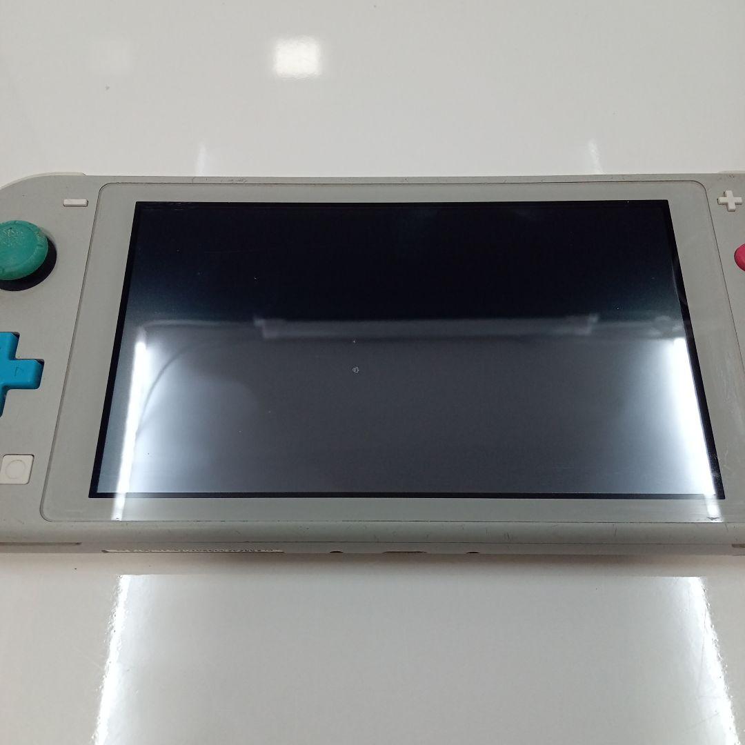 Nintendo Switch Lite 本体 ポケモン グレー 2台 ジャンク