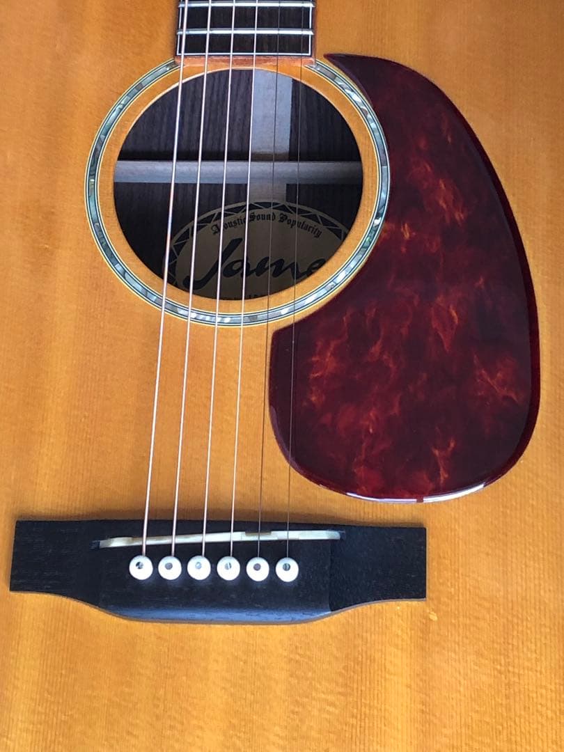 ジェームスJD600VNアコースティックギターハードケース付き