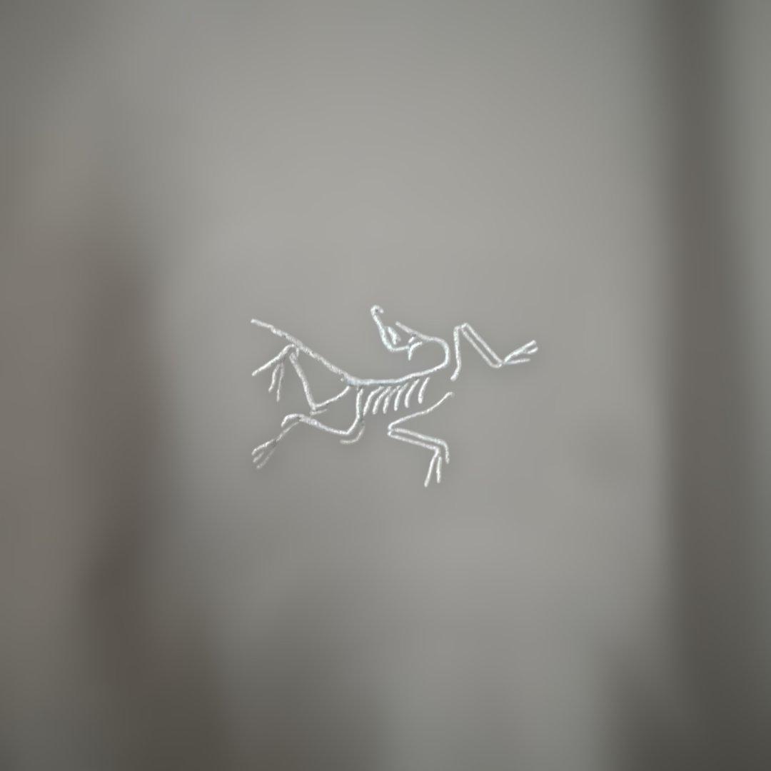 ARC'TERYXアークテリクスBeta Jacketベータ ジャケット Ｍ